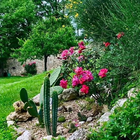 Radius Horse Ranch Bed & Breakfast