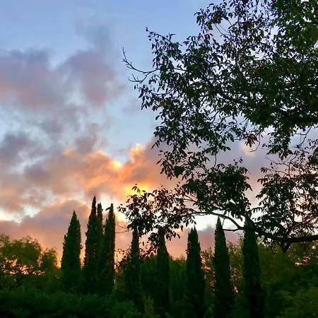 Radius Horse Ranch ماسا مارتانا