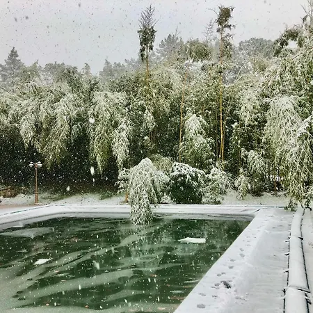 Radius Horse Ranch فندق مبيت وإفطار ماسا مارتانا