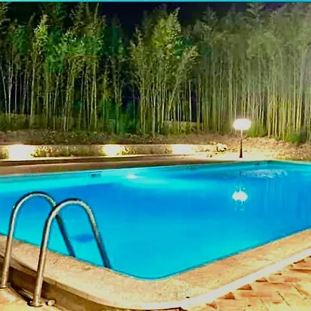 Radius Horse Ranch *