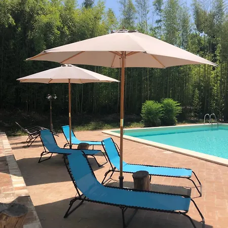 Bed & Breakfast Radius Horse Ranch