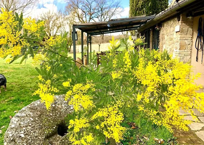 Radius Horse Ranch ベッド・アンド・ブレックファスト 3*