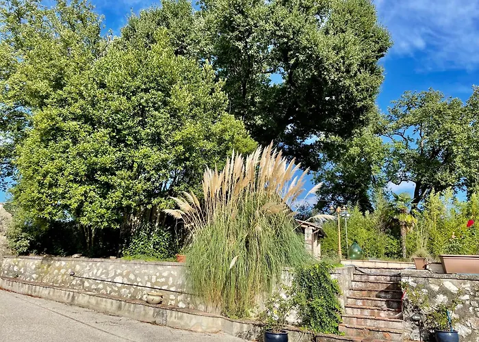 Bed and Breakfast Radius Horse Ranch 3*