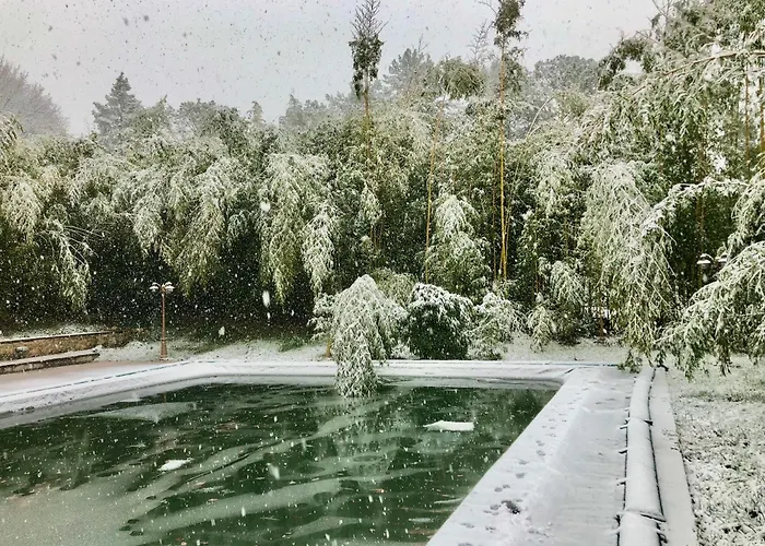 Radius Horse Ranch ベッド・アンド・ブレックファスト マッサ・マルターナ