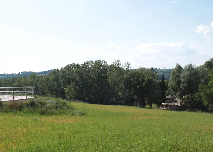 Radius Horse Ranch Bed and Breakfast