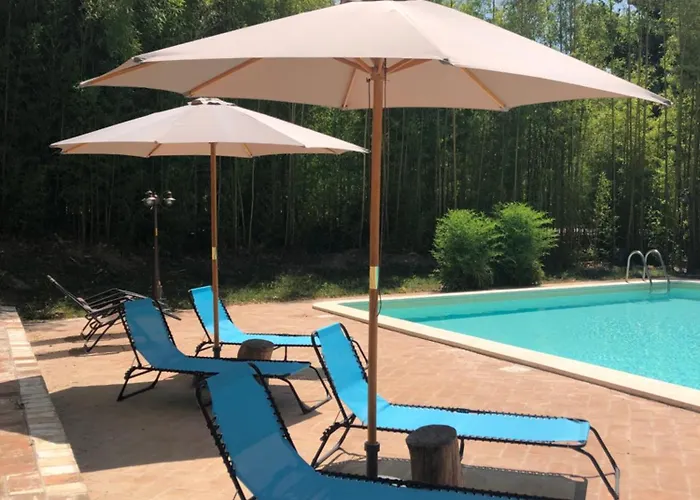 Bed and Breakfast Radius Horse Ranch